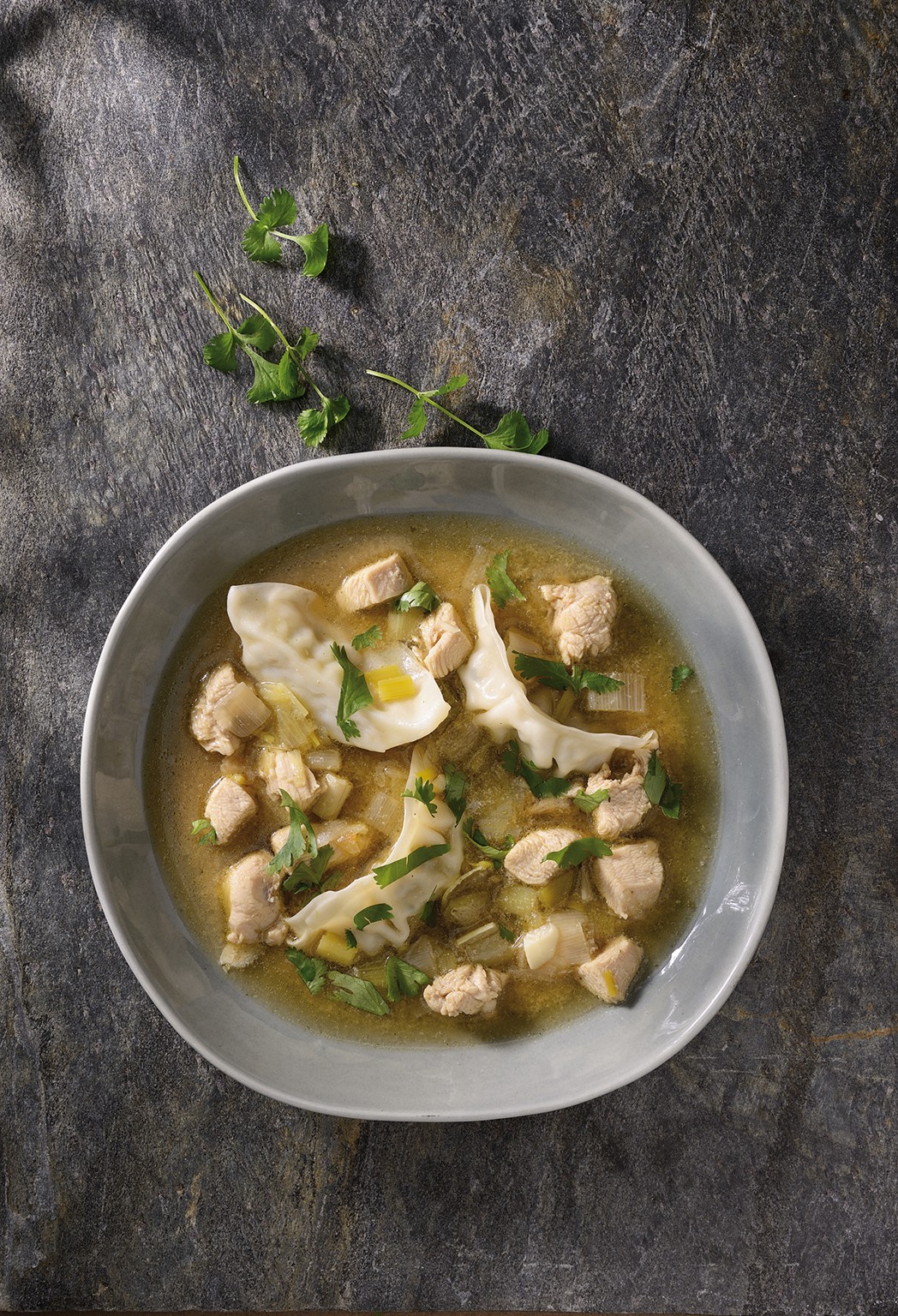 Bouillon mit geflügelgyoza